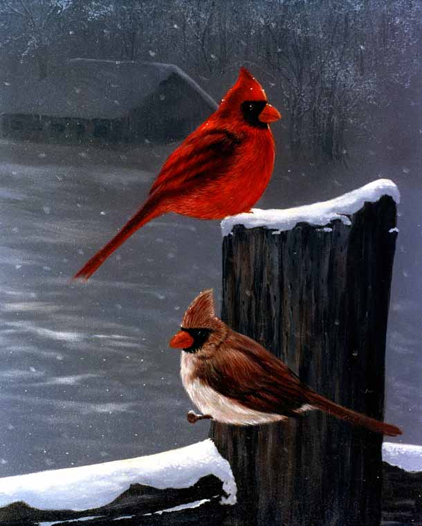 Two Cardinals